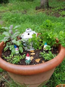 Herbal Fairy Garden